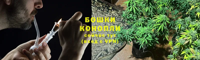 Шишки марихуана SATIVA & INDICA  дарнет шоп  Воткинск 